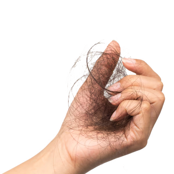 egzosmki tretmani vlasišta